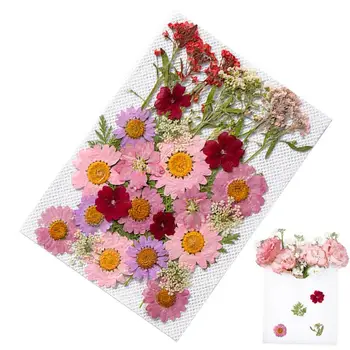 35шт винтажных наклеек для скрапбукинга Декоративные растения 