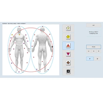 SSCH/Suyzeko биорезонансное V16 NLS 4D квантовое сканирование всего тела со спектральной терапией