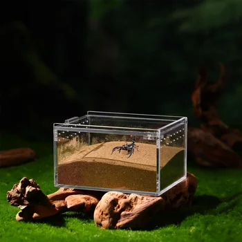 Контейнер для мини-террариума, Акриловый ящик для ползающих домашних животных, Резервуар для кормления пауков, скорпионов, Переносная среда обитания Рептилий, Прозрачный