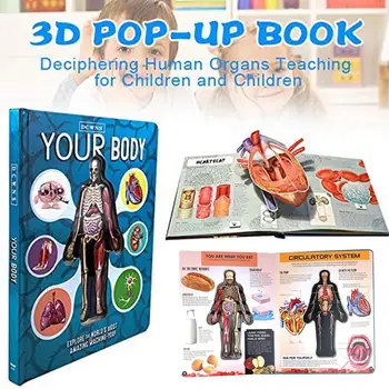 Медицинская книга с 3D изображением Строения человеческого тела, анатомии и физиологии, научная книга, книги для раннего обучения детей В подарок